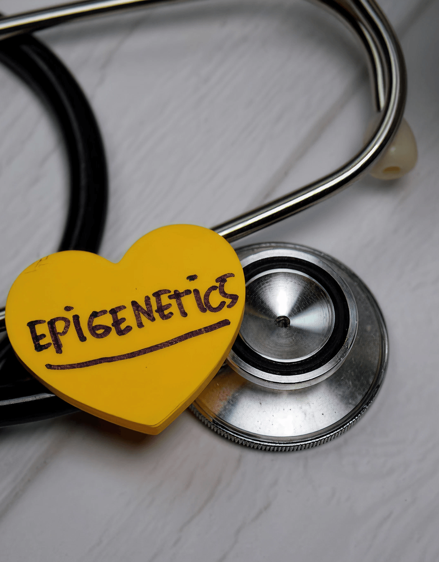 A stethoscope with a small plastic yellow heart next to it that says Epigenetics in black sharpie handwriting